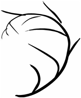 Image from book