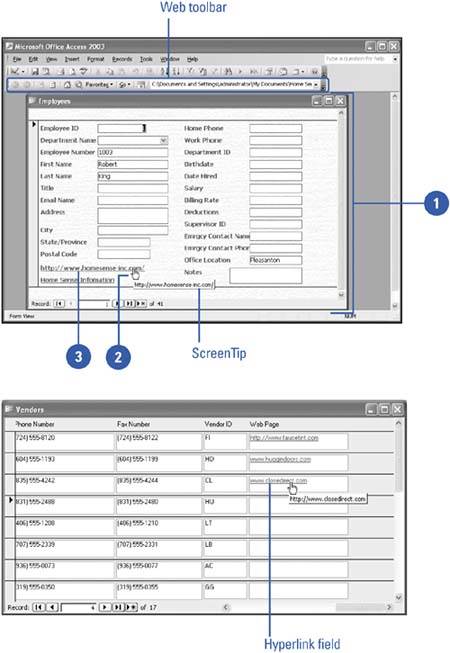 graphics/10inf06.jpg